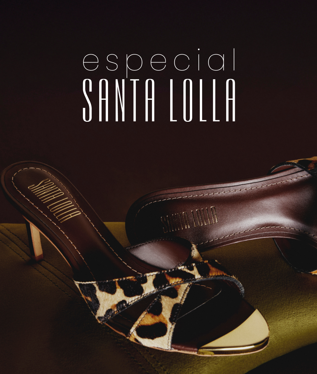 Banner Principal - especial Santa Lolla